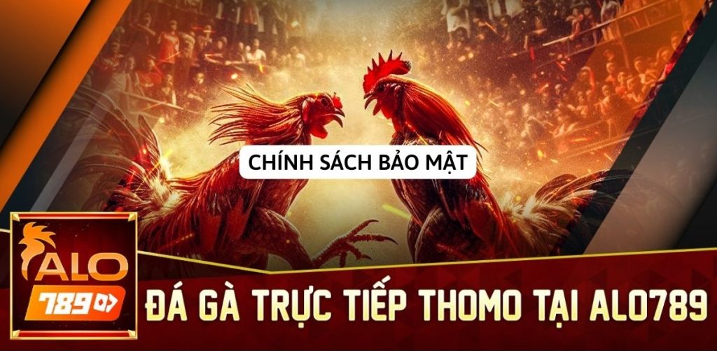 Chính sách bảo mật Alo789 chi tiết