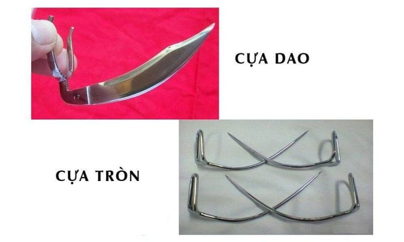 2 loại cựa sắt chính