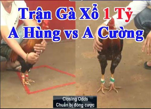 Trận kinh điển xổ 1 tỷ (A Hùng vs A Cường)